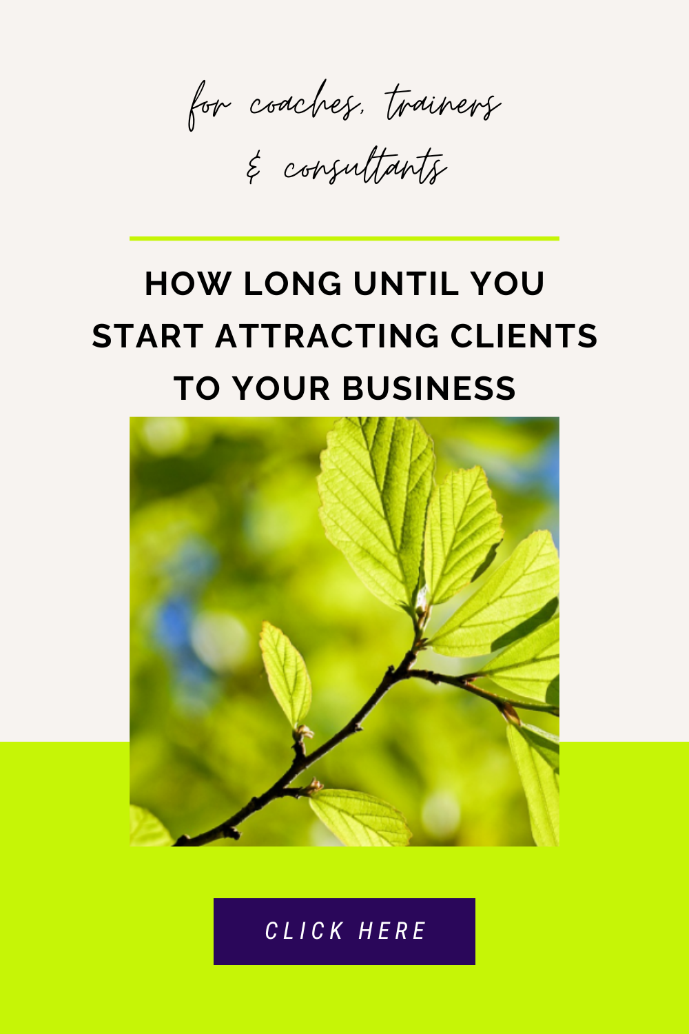 How Long Until You Start Attracting Clients To Your Business – The Glue To Grow Your Business – Ana Rosenberg - (43)