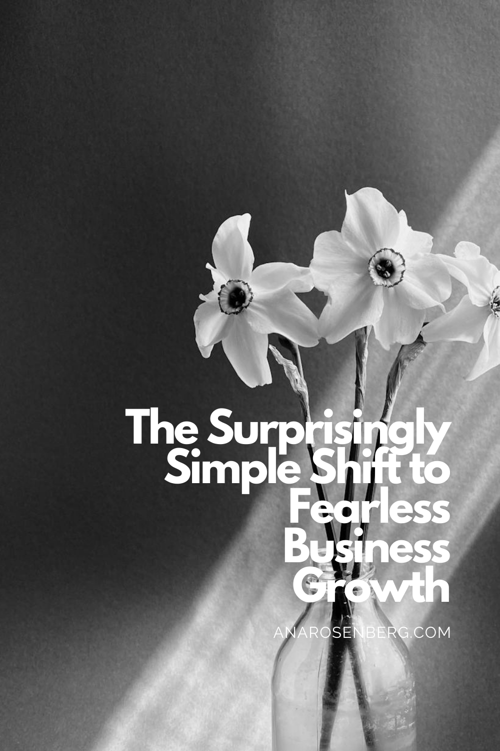 The Surprisingly Simple Shift to Fearless Business Growth (292)